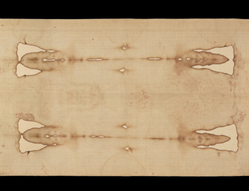 The Holy Shroud through the Lens of the Theology of the Body
