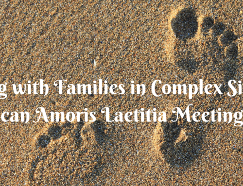 Walking with Families in Complex Situations: AL Meeting